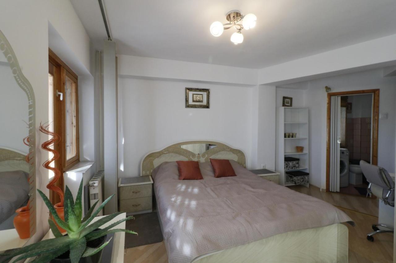 Danielle Apartament Iasi Esterno foto